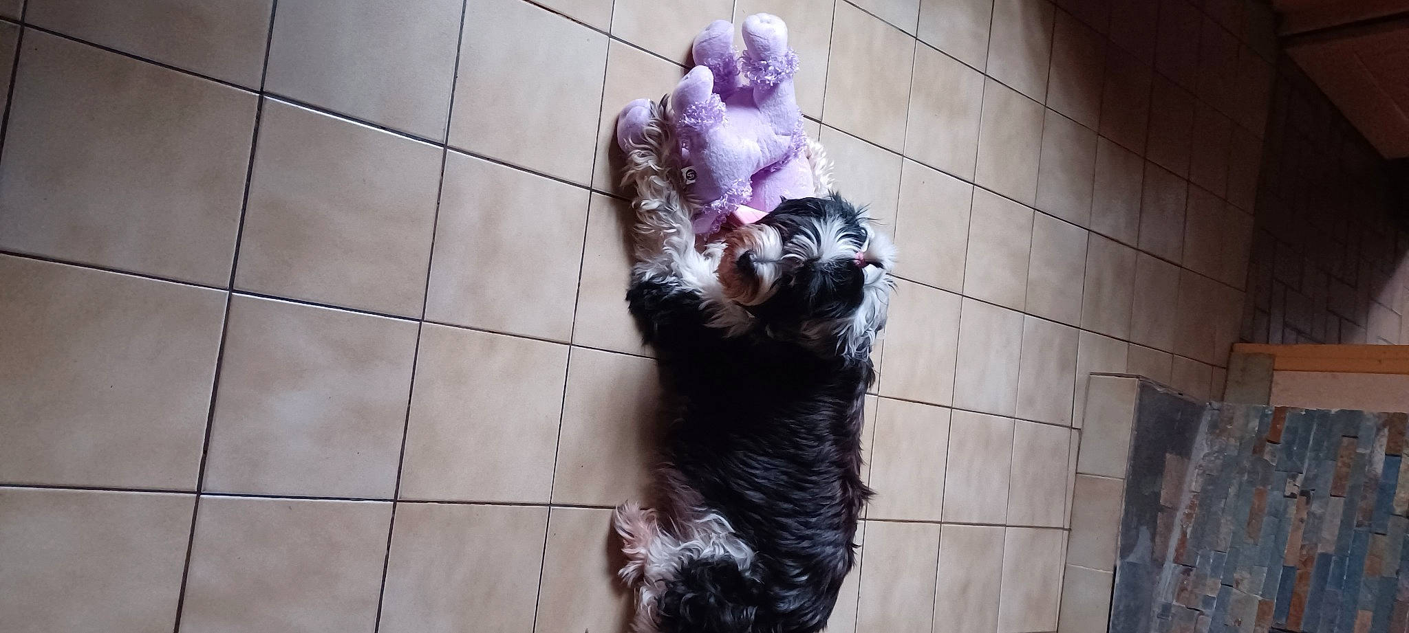 Lidzy participe au concours pour gagner de l'argent avec cette photo : art, bathing, dog_breed, flesh, flooring, fun, fur, human_leg, metal, natural_material, sculpture, sporting_group, tail, terrestrial_animal, visual_arts, water