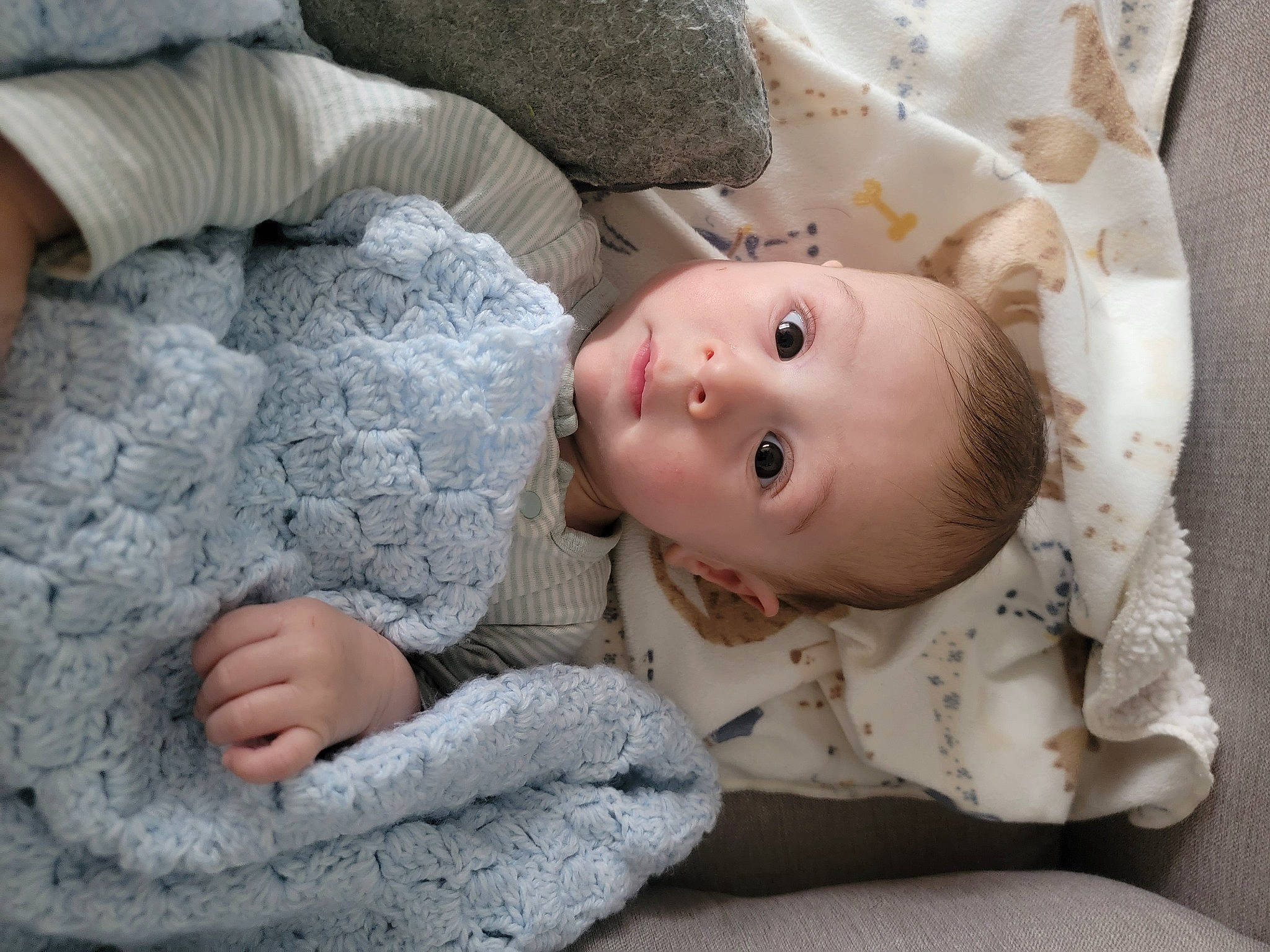 Henry is registered to the contest to win money with this photo: baby, baby_toddler_clothing, cheek, child, comfort, eye, facial_expression, flooring, gesture, grey, headgear, linens, mammal, nose, outerwear, person, skin, sleeve, textile, toddler