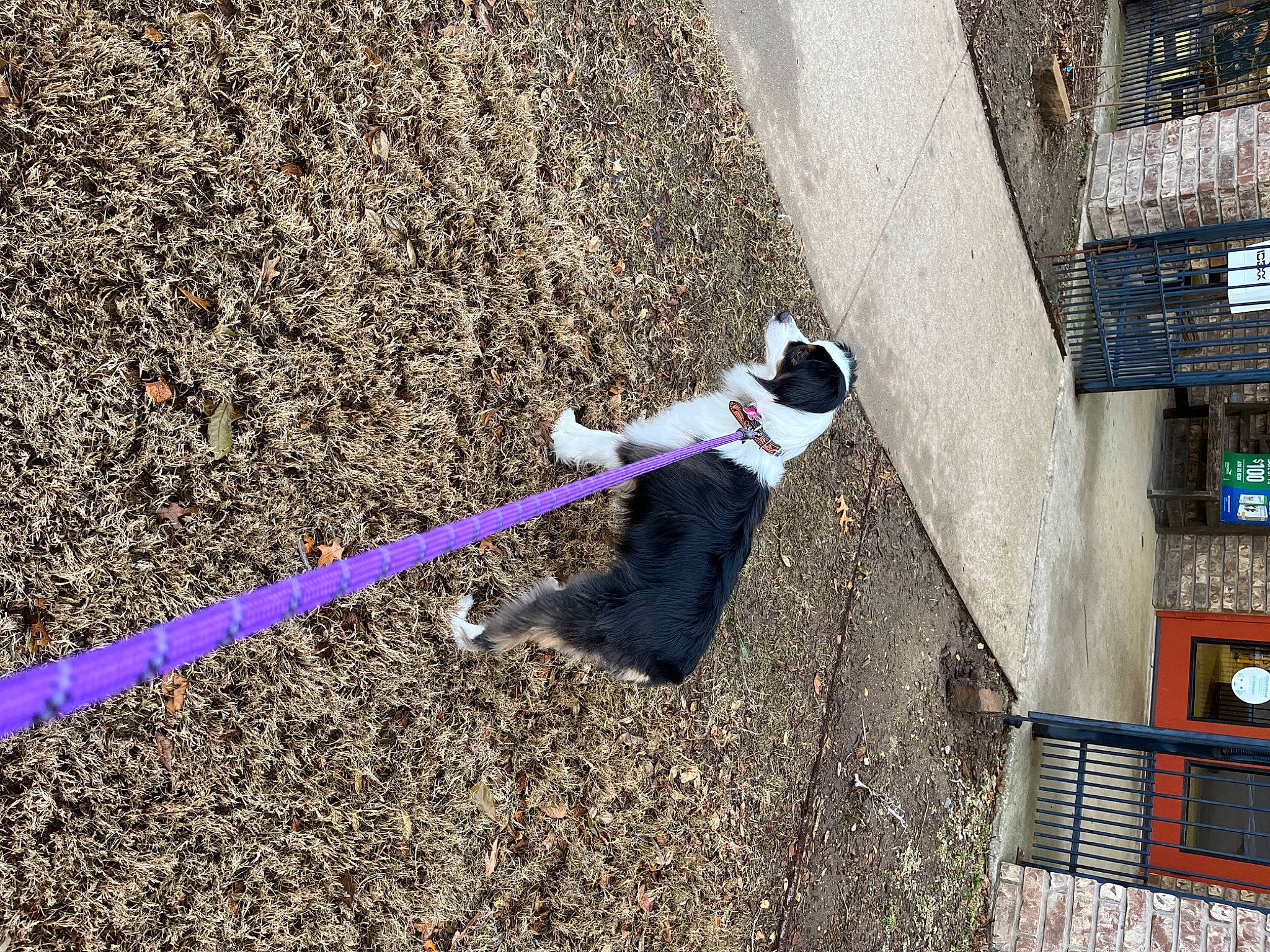 Mabel is registered to the contest to win money with this photo: city, concrete, electric_blue, fun, grass, leisure, magenta, playground, recreation, shadow, slope, soil