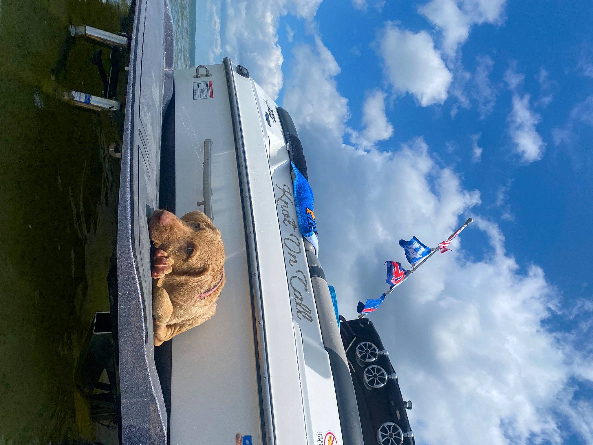 Addison Lane is registered to the contest to win money with this photo: boat, boats_and_boating_equipment_and_supplies, building, cloud, cumulus, electric_blue, facade, felidae, flag, mast, naval_architecture, reflection, ship, sky, travel, vehicle, water, water_transportation, watercraft, window