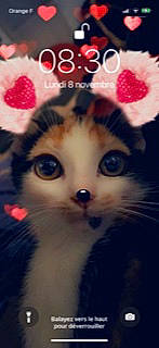 Séky participe au concours pour gagner de l'argent avec cette photo : art, carnivore, cat, close_up, dress, eyelash, fashion_accessory, fawn, felidae, font, fur, holiday, ornament, plant, plush, snout, stuffed_toy, textile, toy, whiskers