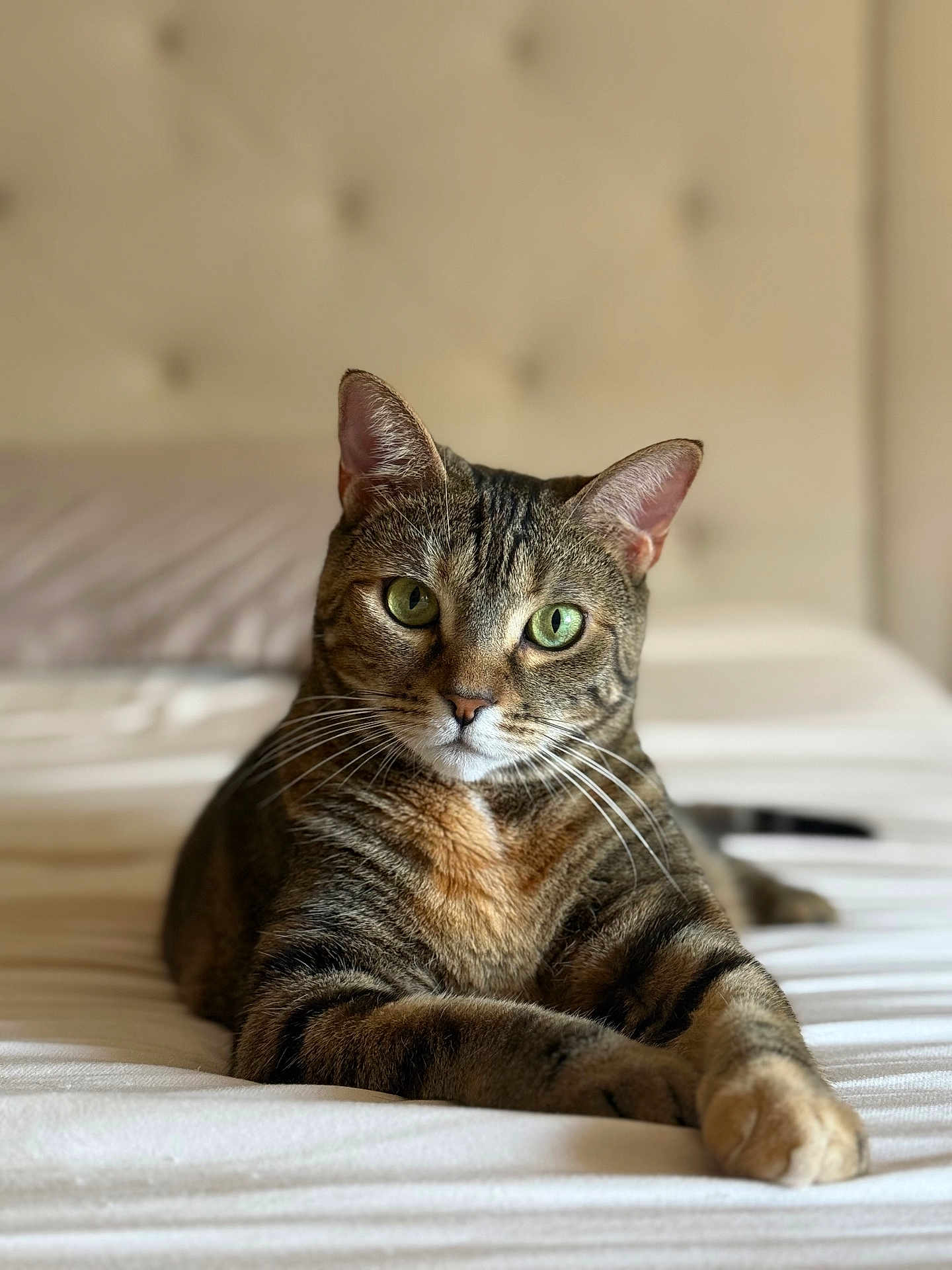 Sophia