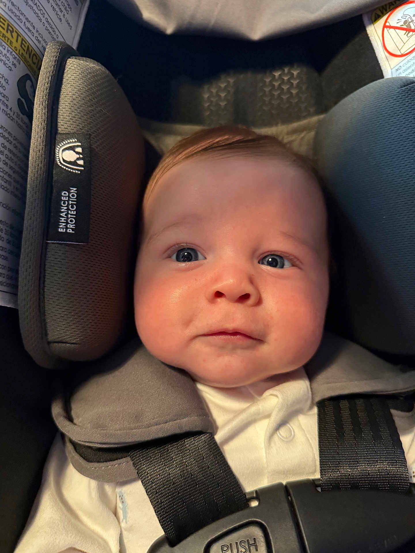 Grayson joined the competition — help win amazing prizes! baby, infant, car_seat, child, safety_harness, straps, cushion, head_support, closeup, young_child, indoors, white_clothing, cute, face, expression, blue_eyes, skin, seatbelt, protection, newborn