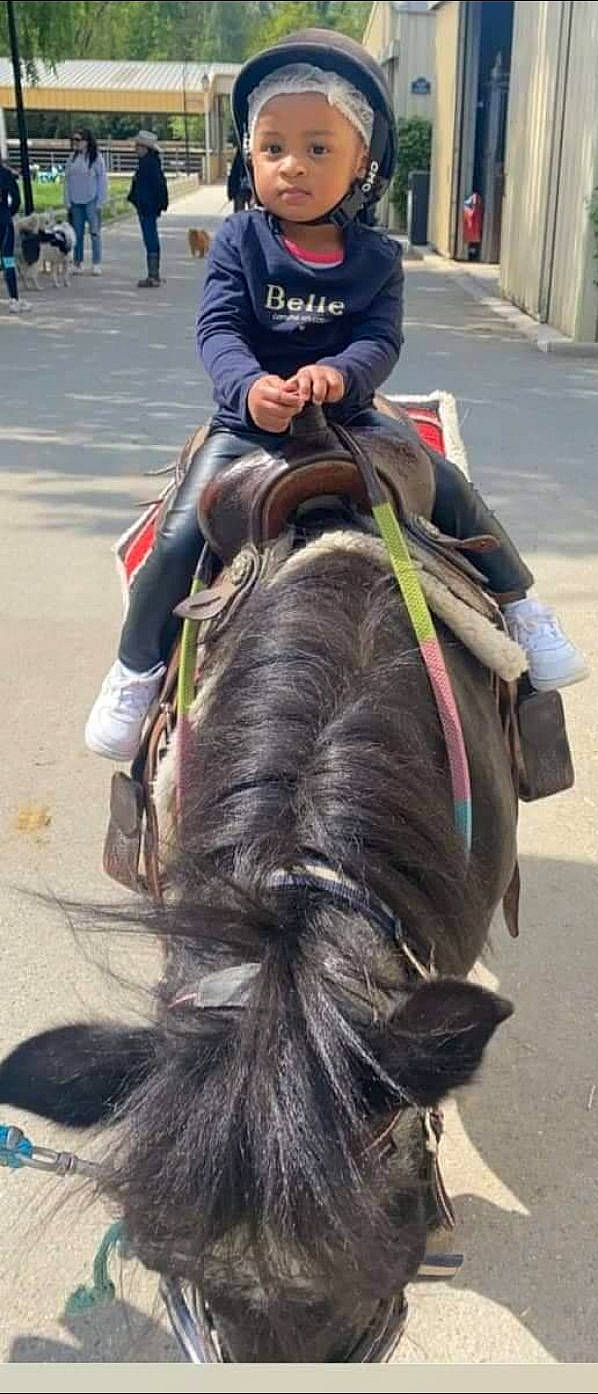 Liyah participe au concours pour gagner de l'argent avec cette photo : animal_sports, bridle, equestrian_sport, equestrianism, event, halter, hat, headwear, horse, horse_supplies, horse_tack, landscape, livestock, mane, mare, pack_animal, person, recreation, rein, saddle
