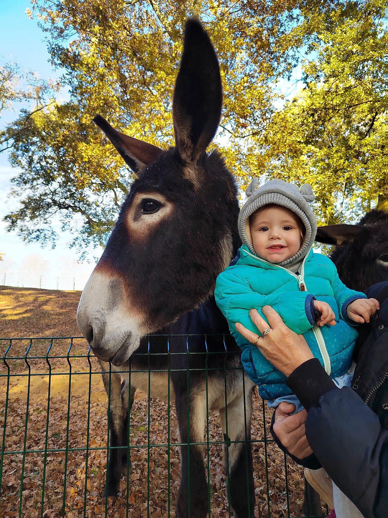 Lylou a rejoint le concours — aidez-le/la à gagner de superbes lots ! eye, fawn, fence, gesture, grass, grassland, hand, happy, headwear, joy, landscape, leisure, livestock, nature, person, plant, rural_area, sky, snout, terrestrial_animal