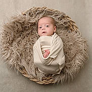 Tucker is registered to the contest to win money with this photo: baby, infant, swaddled, basket, fluffy, blanket, newborn, cute, face, portrait, soft, cozy, lying_down, wrapped, child, nursery, resting, indoor, skin, head