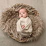 baby, infant, swaddled, basket, fluffy, blanket, newborn, cute, face, portrait, soft, cozy, lying_down, wrapped, child, nursery, resting, indoor, skin, head