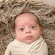 Wolftyn is registered to the contest to win money with this photo: baby, infant, wrapped, blanket, face, wide_eyes, expression, curious, skin, head, laying, texture, rug, soft, closeup, portrait, newborn, indoors, cute, child