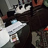 black_and_white_cat, blurred, bottle, casual, cat, clutter, couch, evening, furniture, household, indoor, living_room, mobile_phone, paper, person, relaxing, rug, seated, table, window