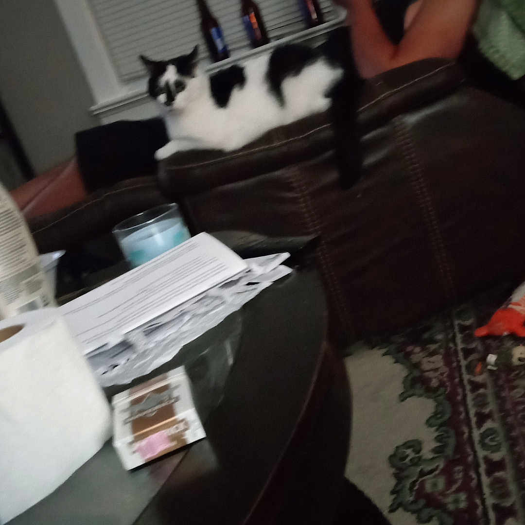 Oreo