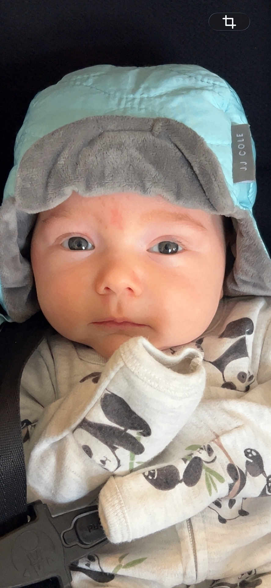 Summer is registered to the contest to win money with this photo: baby, infant, child, hat, clothing, panda, onesie, face, eyes, car_seat, seatbelt, straps, cute, portrait, closeup, apparel, young, soft, warm, indoor