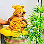 baby, child, towel, yellow, basket, woven_basket, plant, greenery, indoor, curious, exploring, cozy, cute, childwearing, foot, hand, arm, home, portrait, colorful