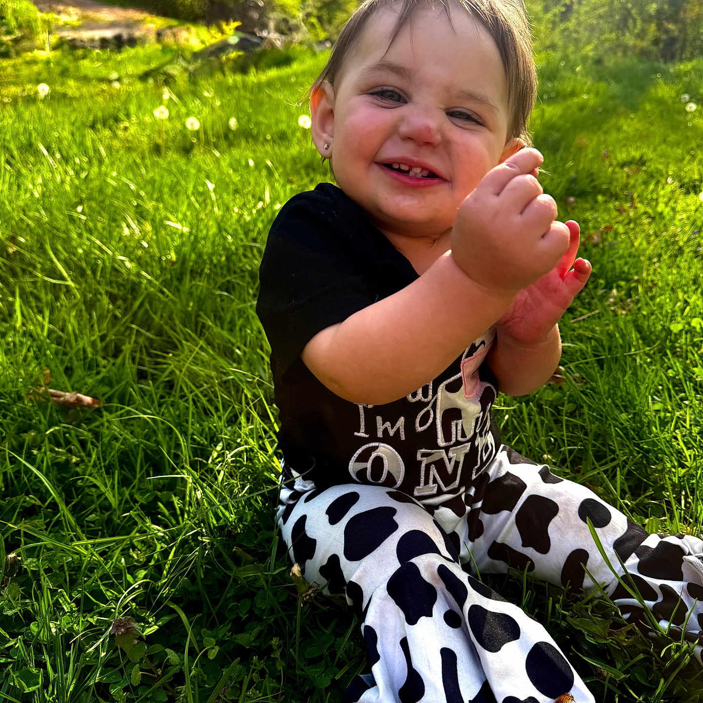 Kamariah is registered to the contest to win money with this photo: toddler, child, grass, outdoor, smiling, black_shirt, cow_print_pants, greenery, nature, sunlight, happy, playing, baby, face, person, grass_field, dandelion, casual_clothing, cute, sitting
