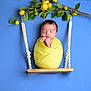 Yacine participe au concours pour gagner de l'argent avec cette photo : newborn, baby, sleeping, swaddle, yellow, wooden_swing, lemons, green_leaves, blue_background, peaceful, infant, portrait, cute, baby_photo, studio_shot, decorative_branch, child, resting, indoors, soft_lighting