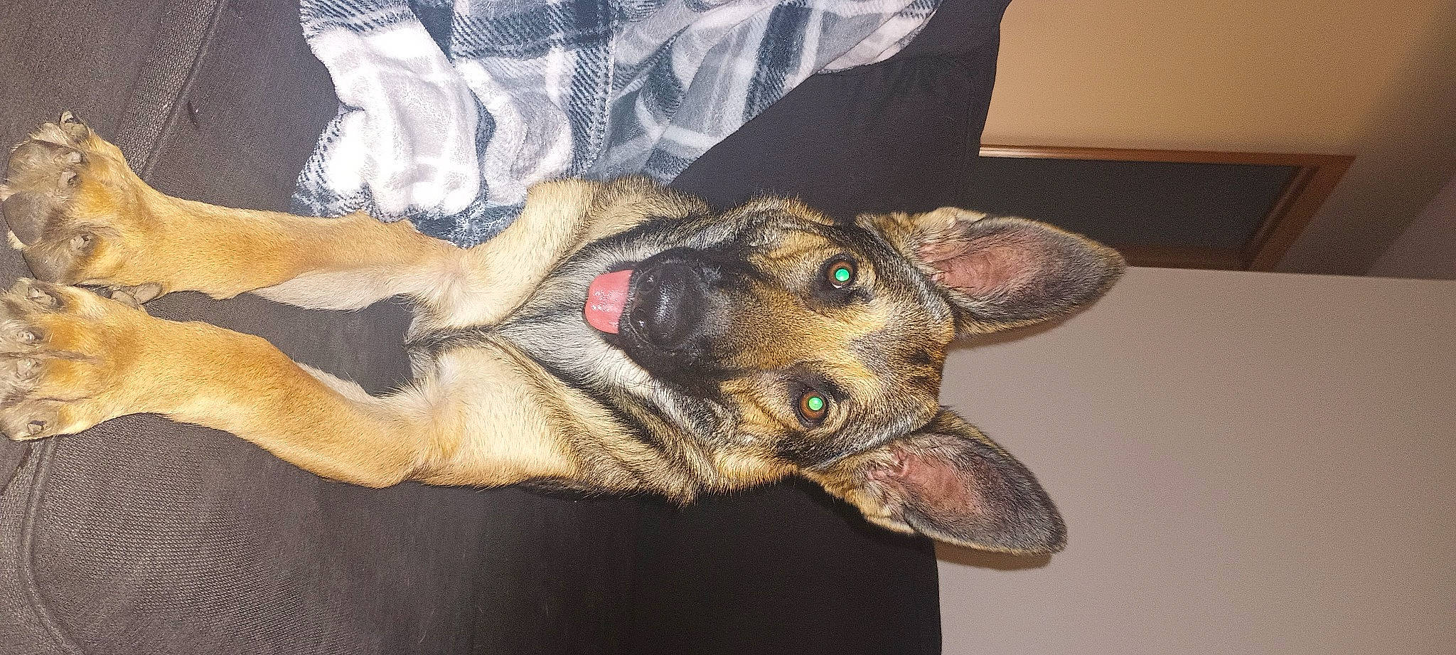 Coco