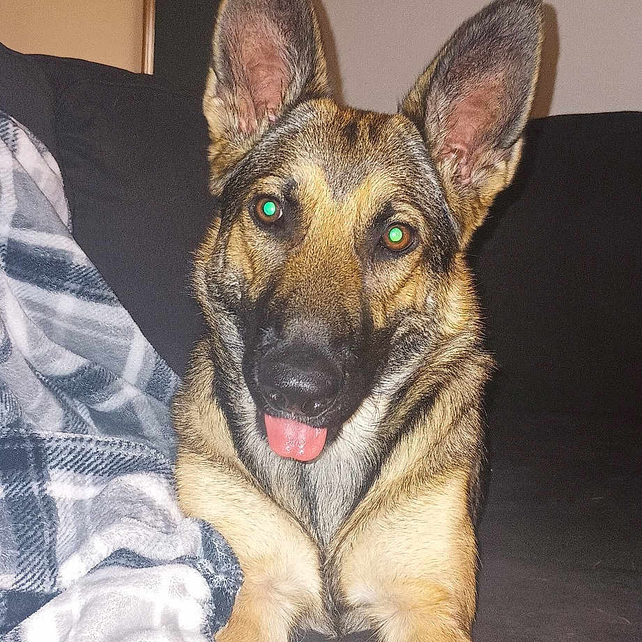 Coco