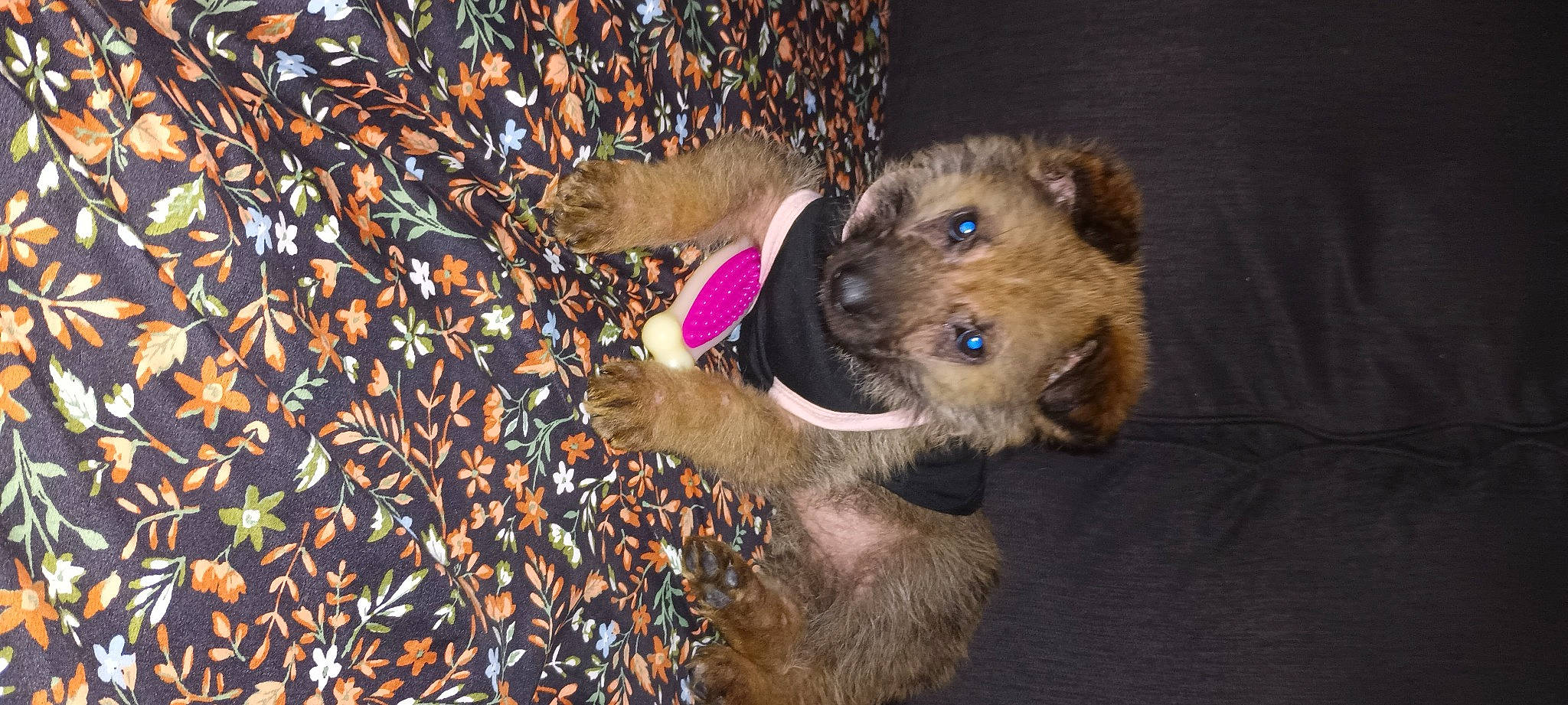 Coco