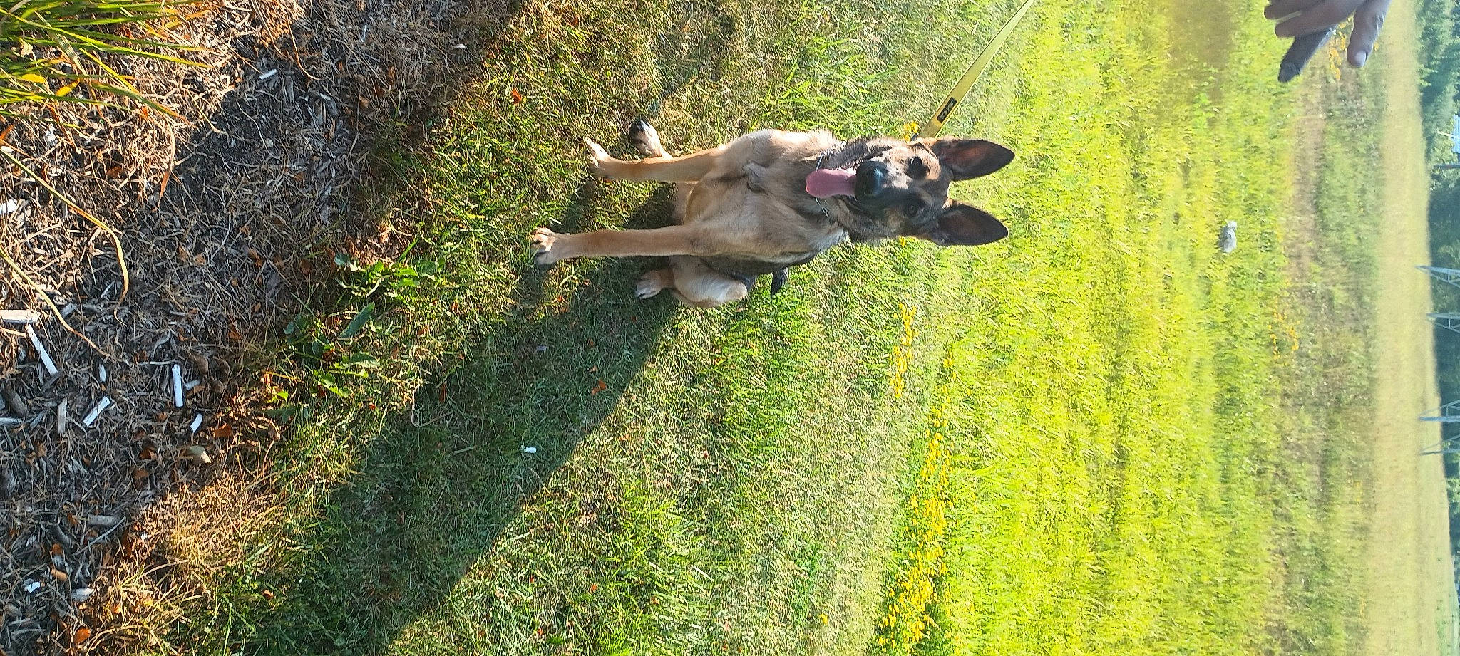 Coco