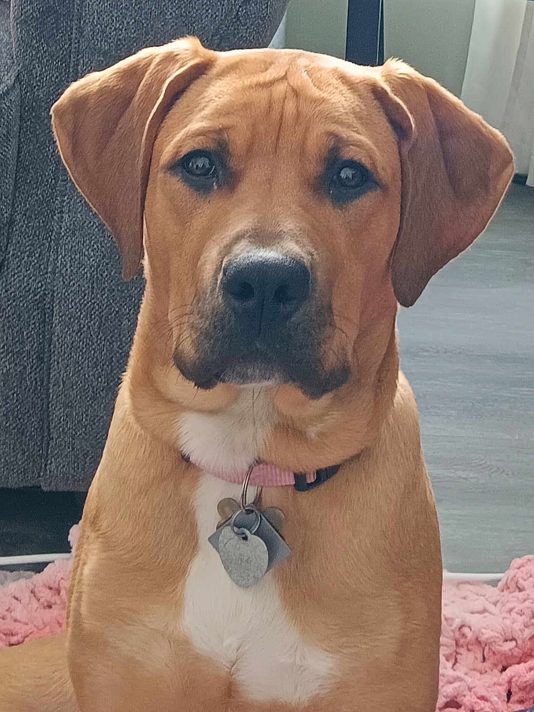 Rosie