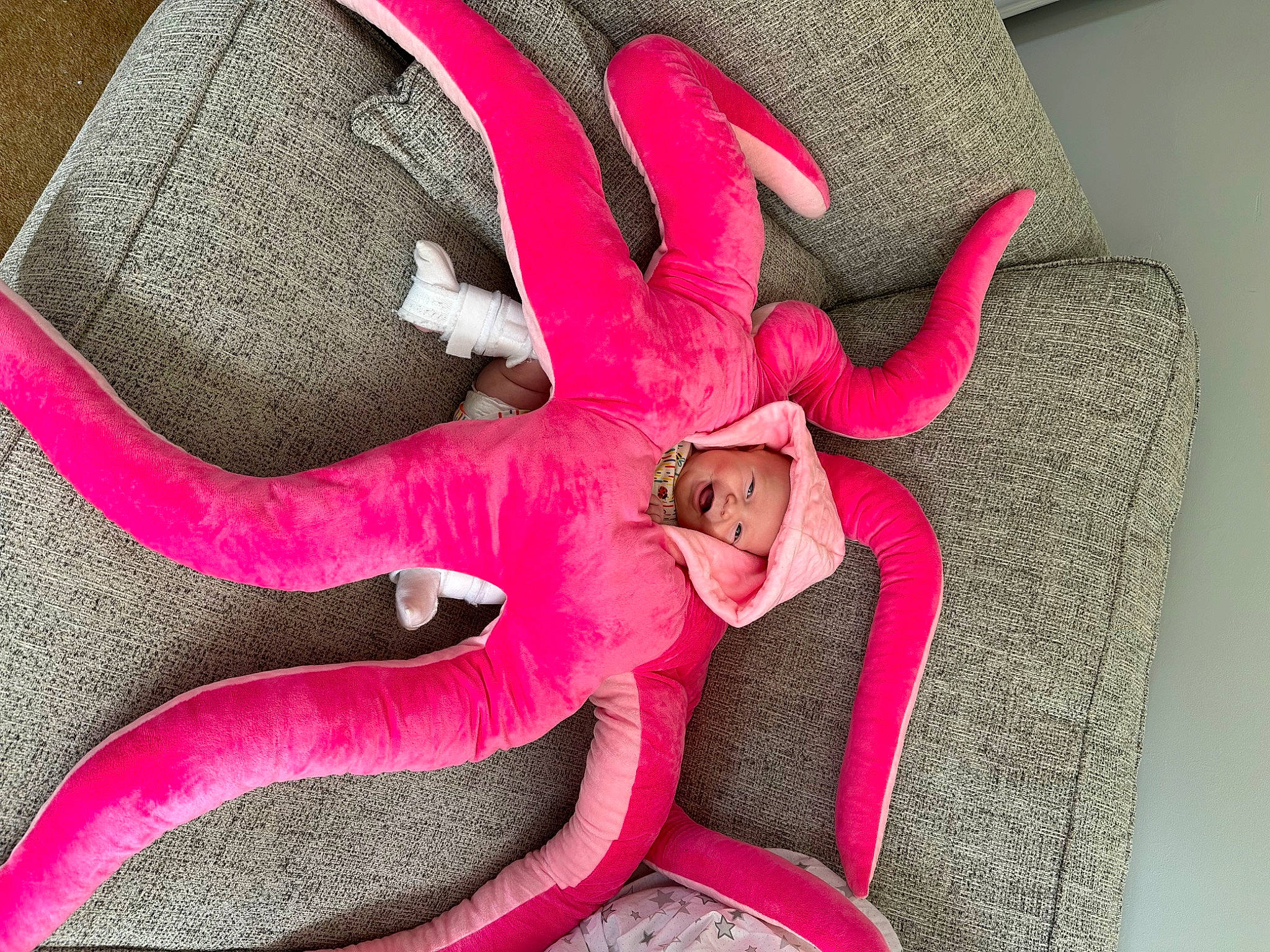 Eadie is registered to the contest to win money with this photo: bag, carmine, circle, comfort, fashion_accessory, fictional_character, font, fur, headwear, home_accessories, linens, magenta, pattern, peach, person, personal_protective_equipment, petal, pink, plush, textile