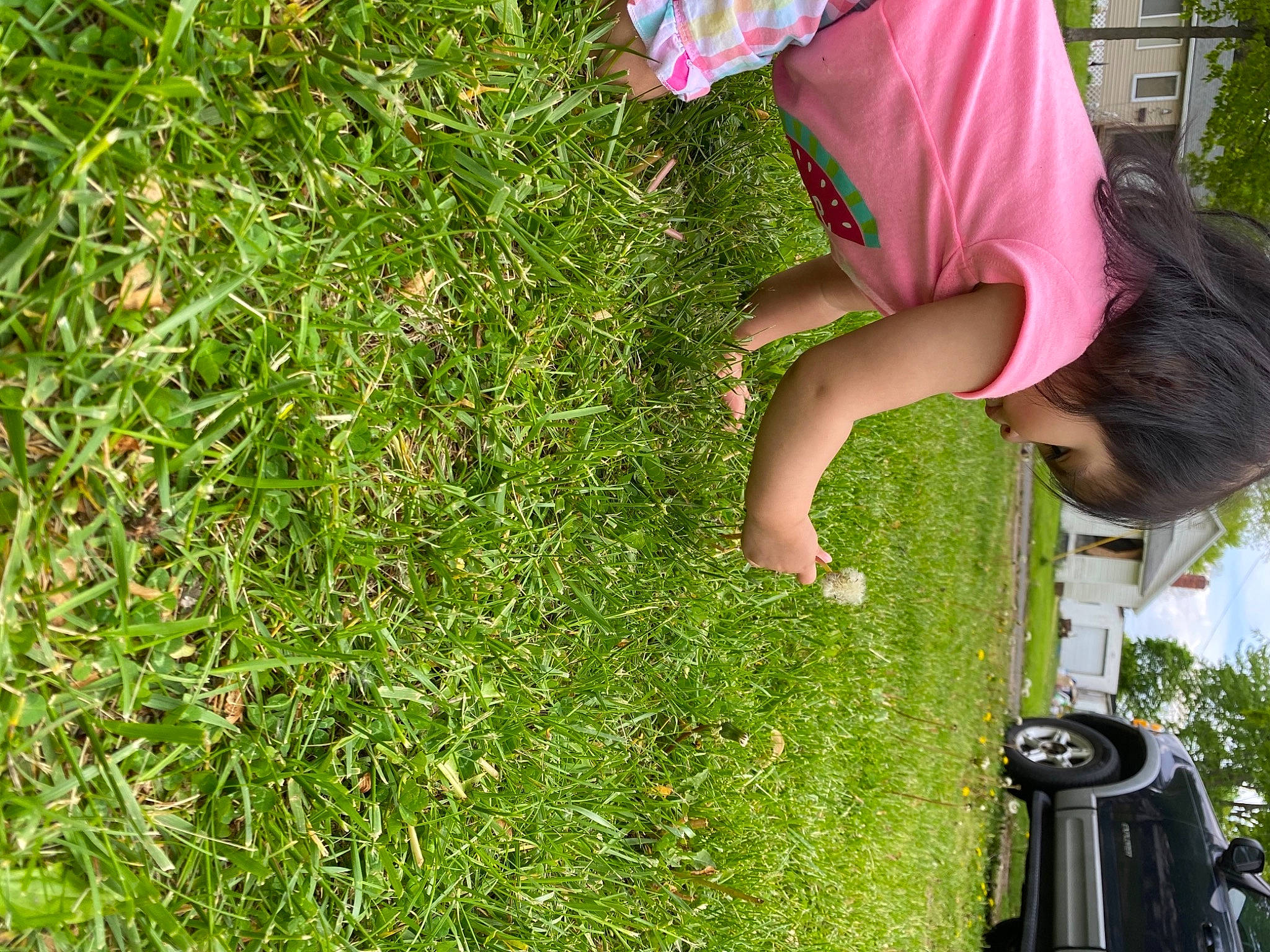 Candelaria is registered to the contest to win money with this photo: automotive_exterior, botany, car, fun, garden, grass, grass_family, grassland, green, groundcover, hat, lawn, leisure, people_in_nature, person, plant, shorts, shrub, t_shirt, toddler