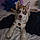 Krypto