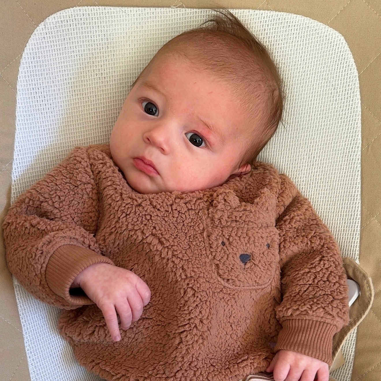 Grayson joined the competition — help win amazing prizes! baby, bodypart, clothing, coat, face, finger, furniture, hand, head, hoodie, jacket, knitwear, longsleeve, newborn, person, photography, portrait, sleeve, sweater, sweatshirt