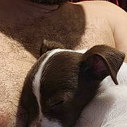 Noodle joined the competition — help win amazing prizes!