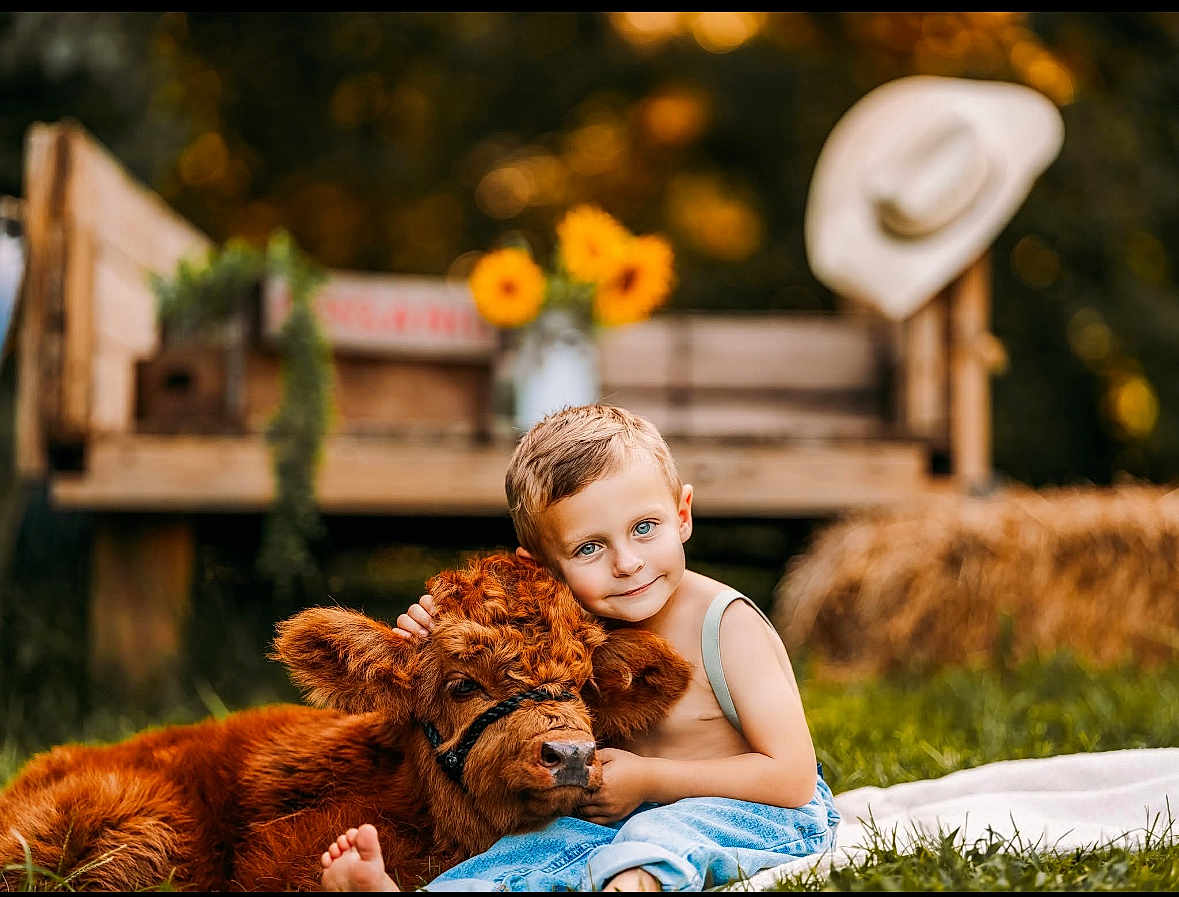Asher joined the competition — help win amazing prizes! child, boy, calf, cow, animal, grass, farm, sunflowers, bench, hay_bale, cowboy_hat, outdoor, portrait, blue_eyes, denim, barefoot, cuddling, smile, bokeh, rural