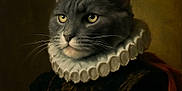 Koda Bear is registered to the contest to win money with this photo: cat, gray_cat, portrait, vintage_clothing, ruffled_collar, party_hat, rainbow_hat, costume, animal_portrait, aristocratic, dark_background, solemn, feline, whiskers, ears, yellow_eyes, fur, indoor, closeup, majestic