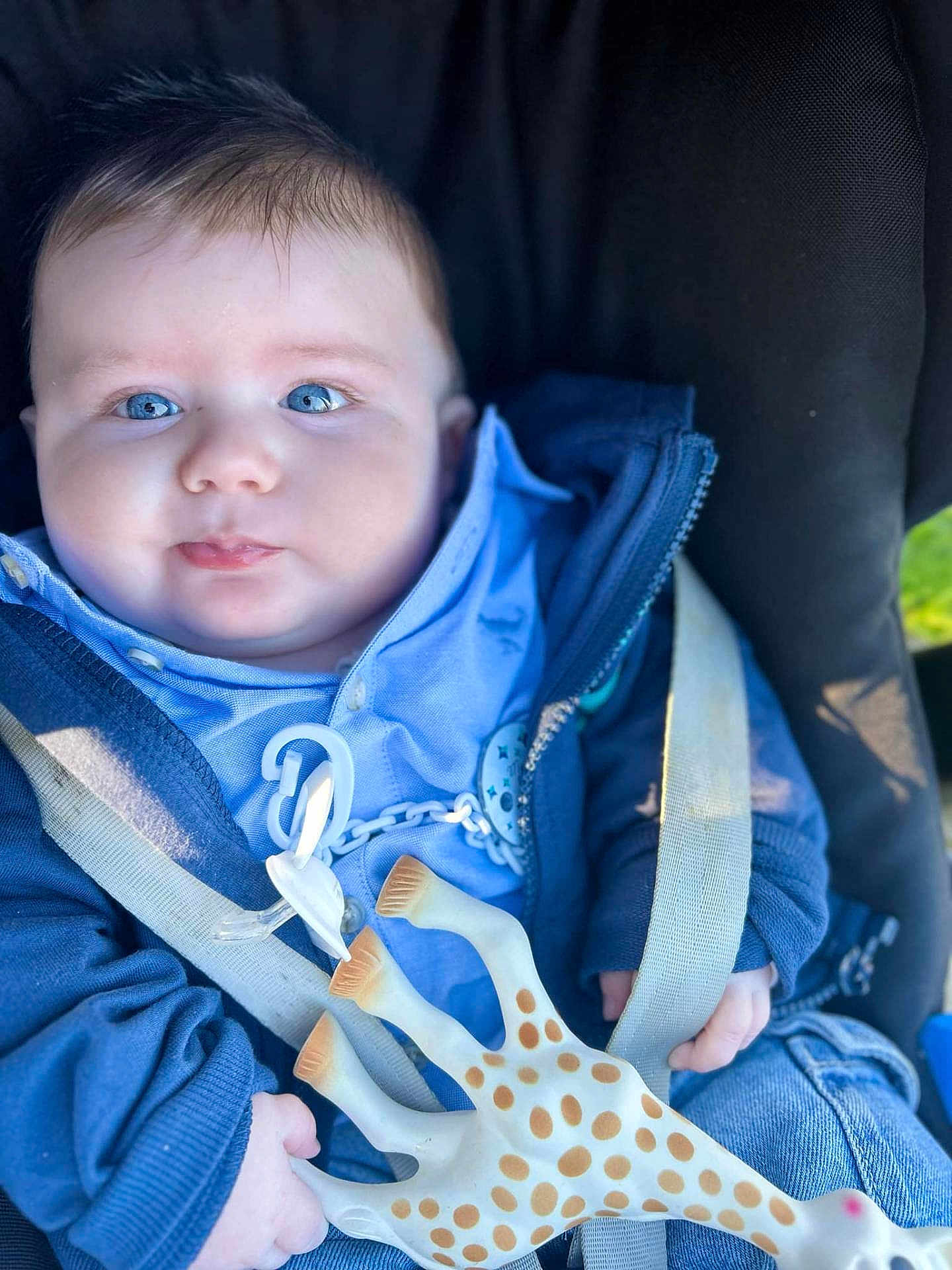 Lyham participe au concours pour gagner de l'argent avec cette photo : baby, blue_eyes, car_seat, child, clothing, cute, face, giraffe_toy, hand, hoodie, infant, jeans, pacifier_clip, person, plush_toy, seatbelt, smile, toy, young_child, zipper