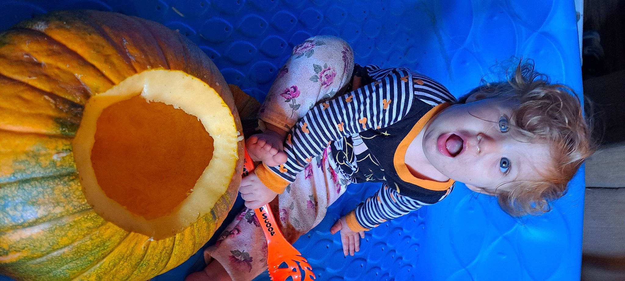 Chevelle is registered to the contest to win money with this photo: baby, baby_toddler_clothing, blue, child, electric_blue, fun, gesture, happy, head, leisure, nose, orange, pattern, peach, person, play, surprise, toddler, tree, world