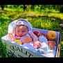 baby, sleeping, peach, fruit, box, outdoor, grass, headband, blanket, infant, nature, child, cute, resting, summer, soft, peaceful, portrait, fresh, daylight