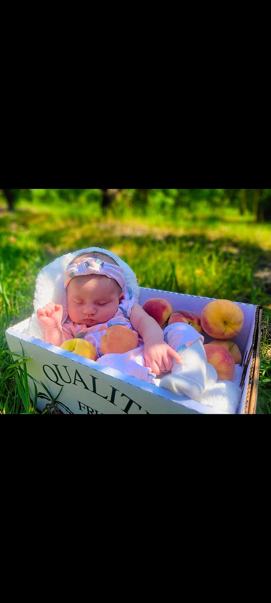 Amariah joined the competition — help win amazing prizes! baby, sleeping, peach, fruit, box, outdoor, grass, headband, blanket, infant, nature, child, cute, resting, summer, soft, peaceful, portrait, fresh, daylight