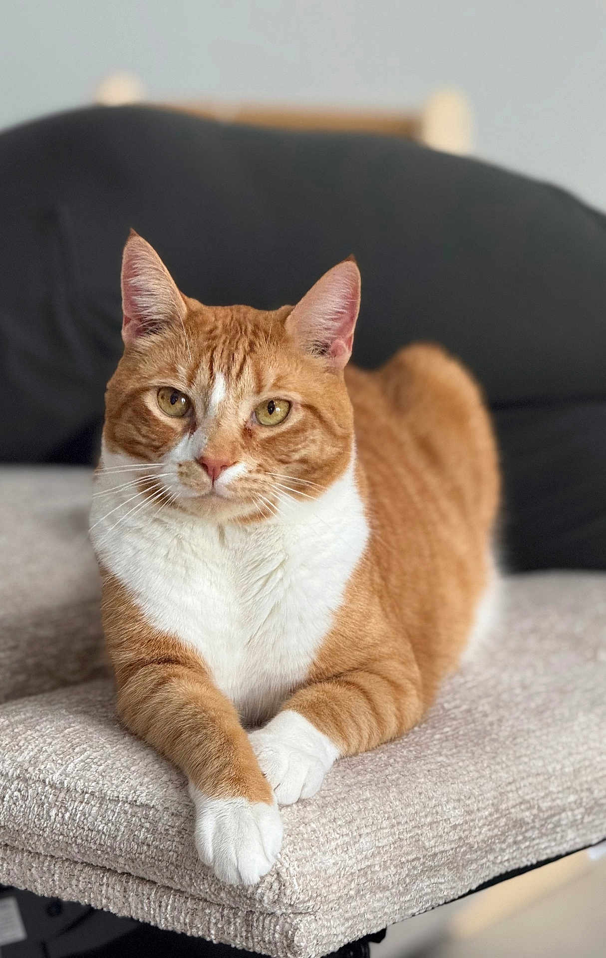 Barry