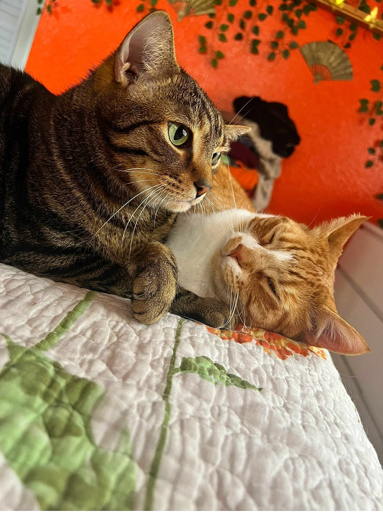 Bruce And Barry