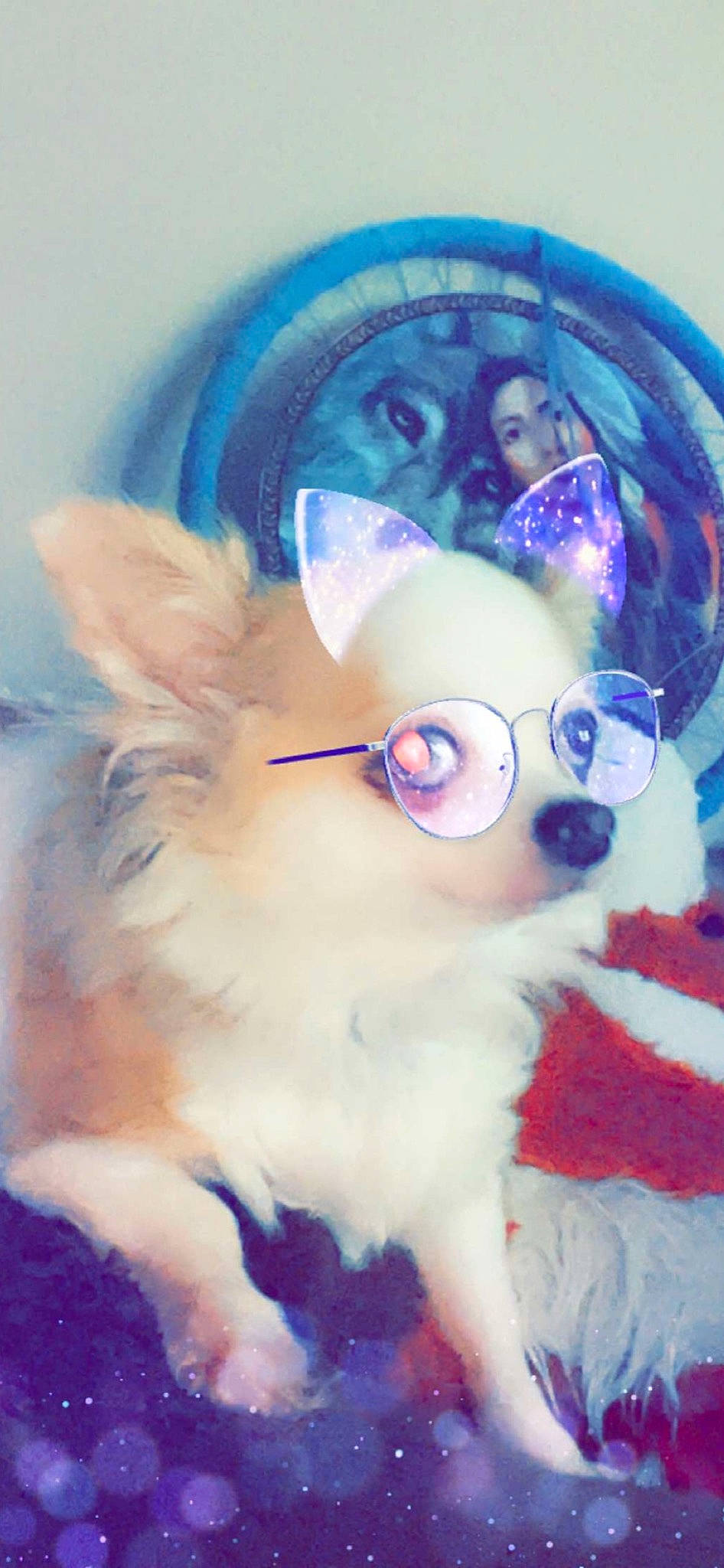 Maleeka joined the competition — help win amazing prizes! art, cat, circle, electric_blue, event, eyewear, fawn, felidae, fur, magenta, paint, painting, tail, toy, visual_arts, whiskers