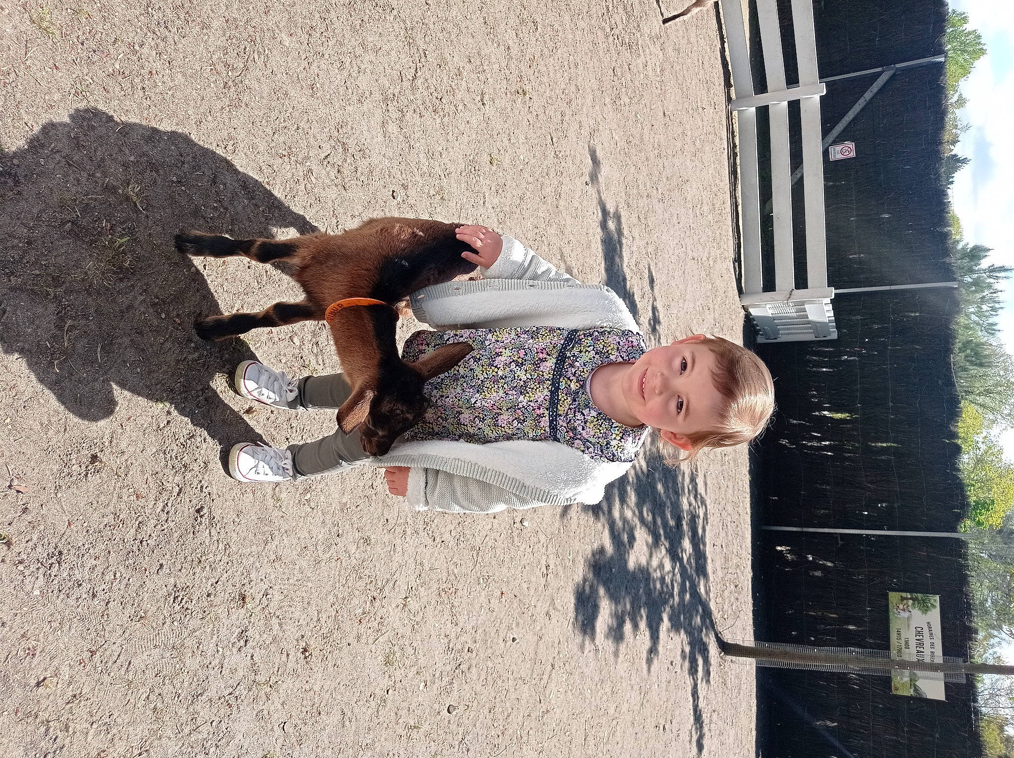 Elina a rejoint le concours — aidez-le/la à gagner de superbes lots ! concrete, fun, joy, landscape, leisure, person, shadow, sitting, tree, wood