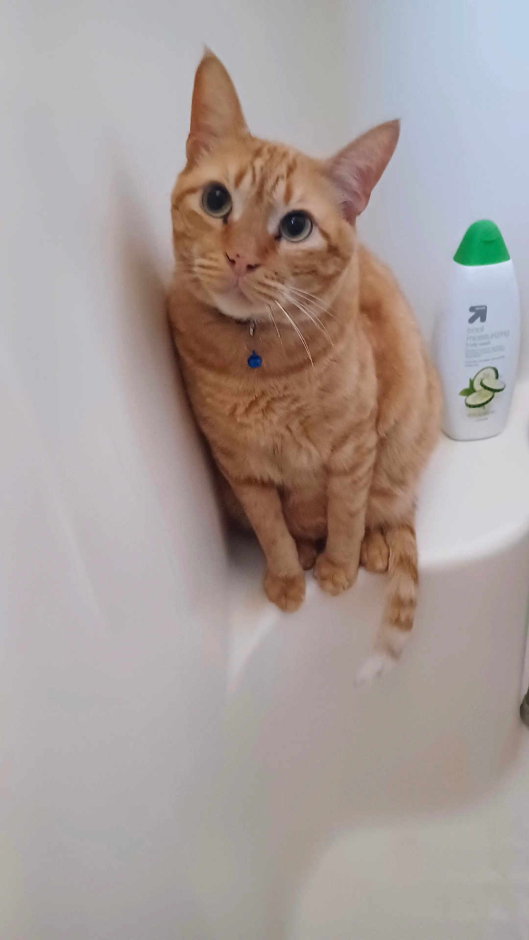 Tigger