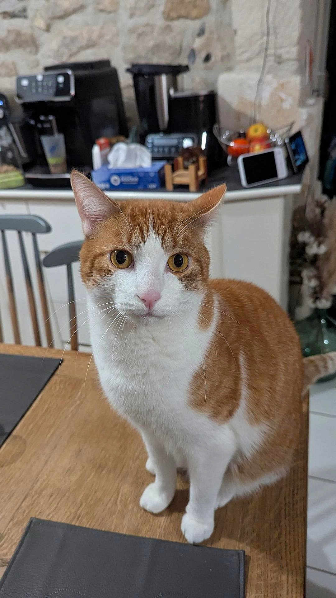 Alfred