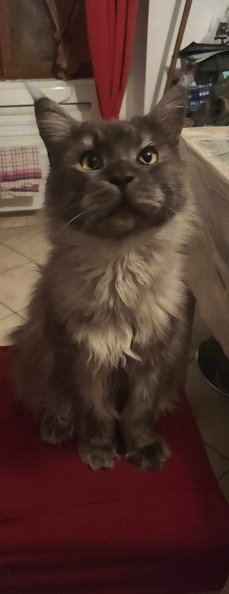 Odin