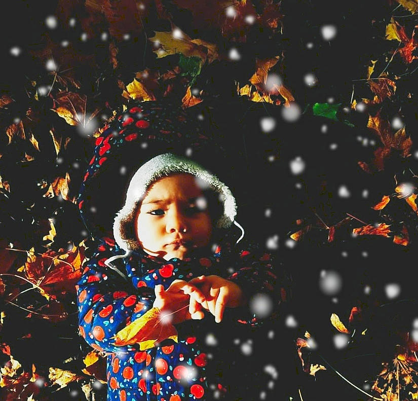 Melyssa a rejoint le concours — aidez-le/la à gagner de superbes lots ! branch, child, christmas_decoration, christmas_lights, christmas_ornament, conifer, darkness, event, flash_photography, fun, happy, holiday, light, ornament, party_supply, pattern, people_in_nature, person, photograph, precipitation