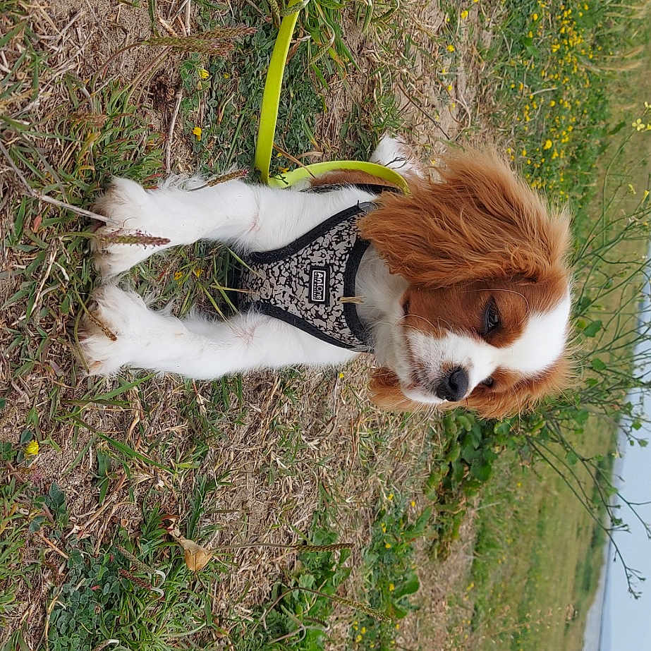 Vicky