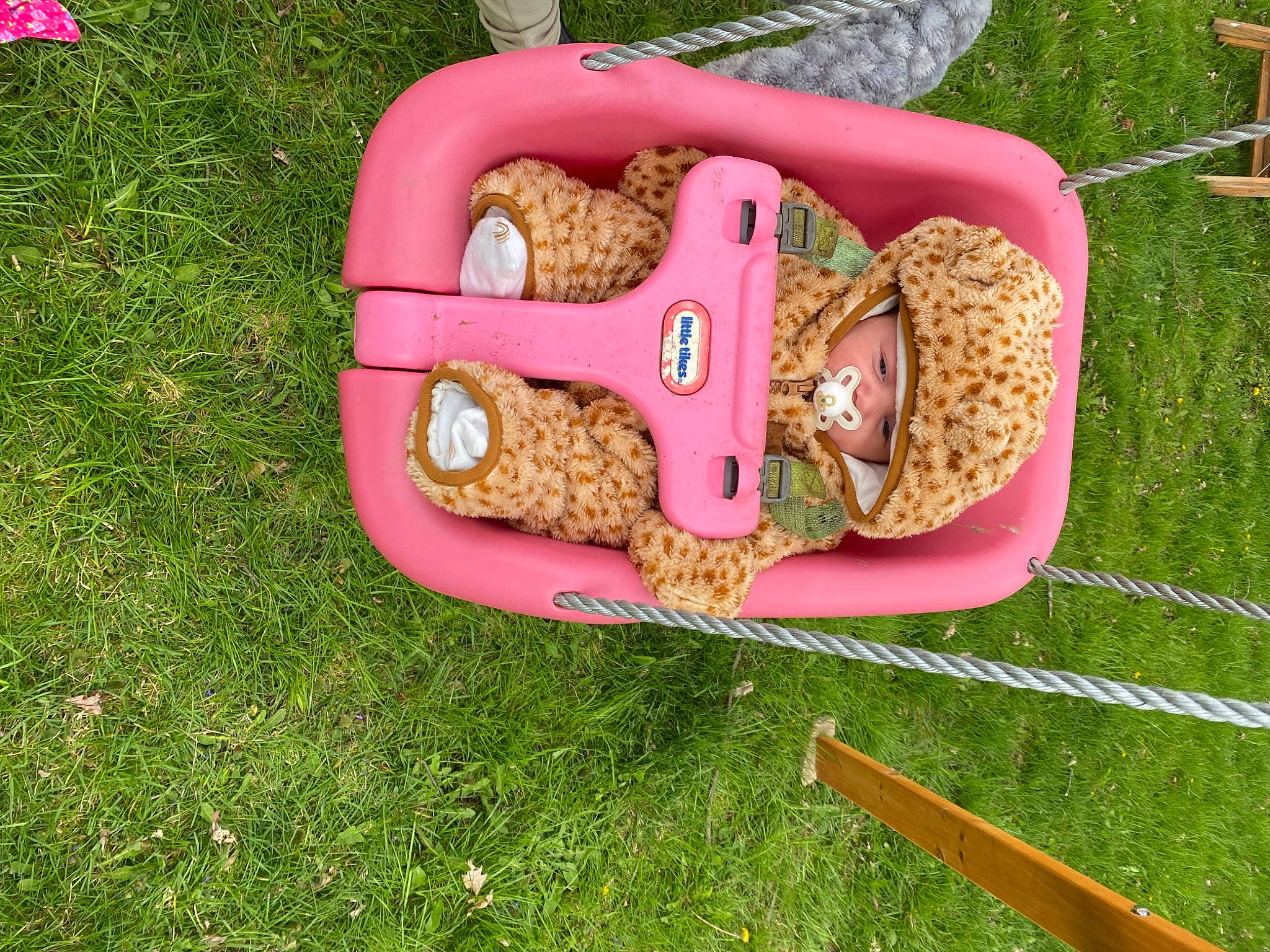 Lucille is registered to the contest to win money with this photo: bread, cuisine, fawn, finger_food, graham_bread, grass, happy, heart, home_accessories, leisure, magenta, play, rectangle, sliced_bread, snack, tableware, toy, wood