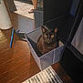 black_cat, cat, box, fabric_box, wooden_floor, mirror, reflection, person, legs, sandals, carpet, indoor, pen, blue_pen, furniture, storage, home, pet, curious, animal