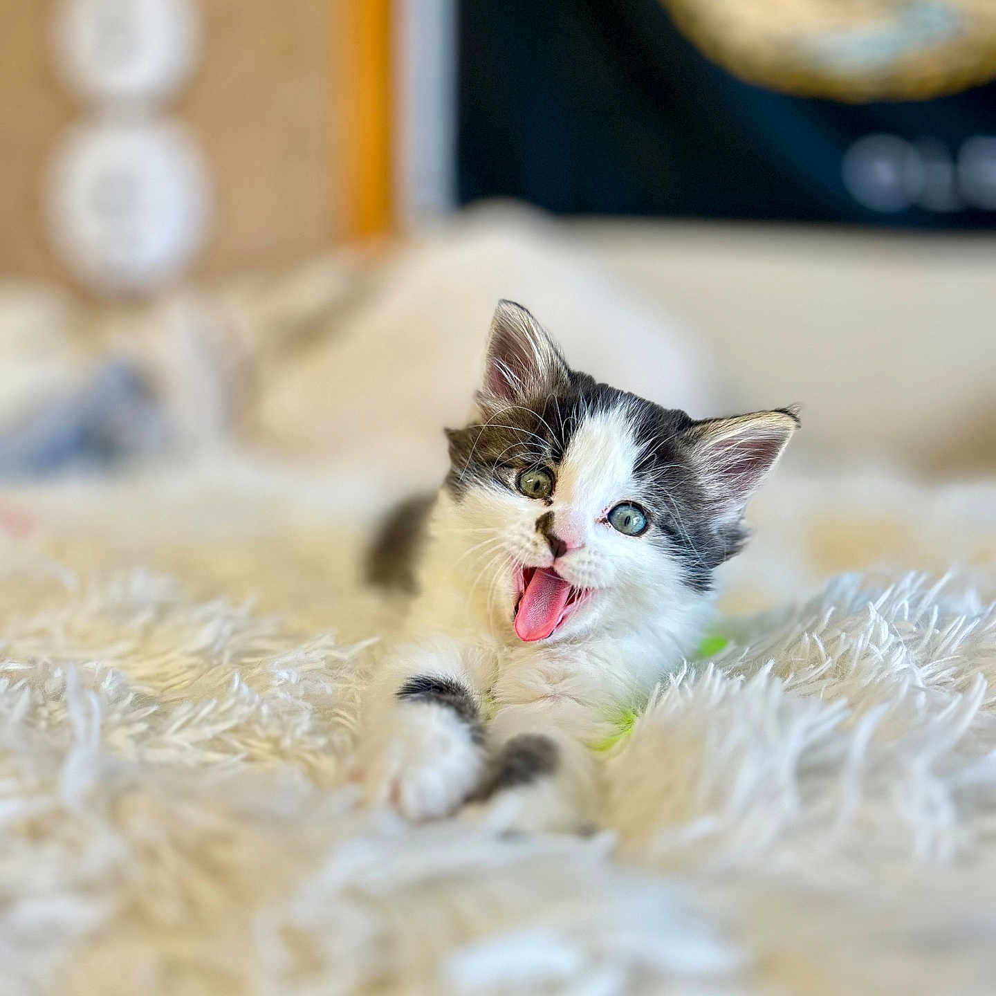 Pico
