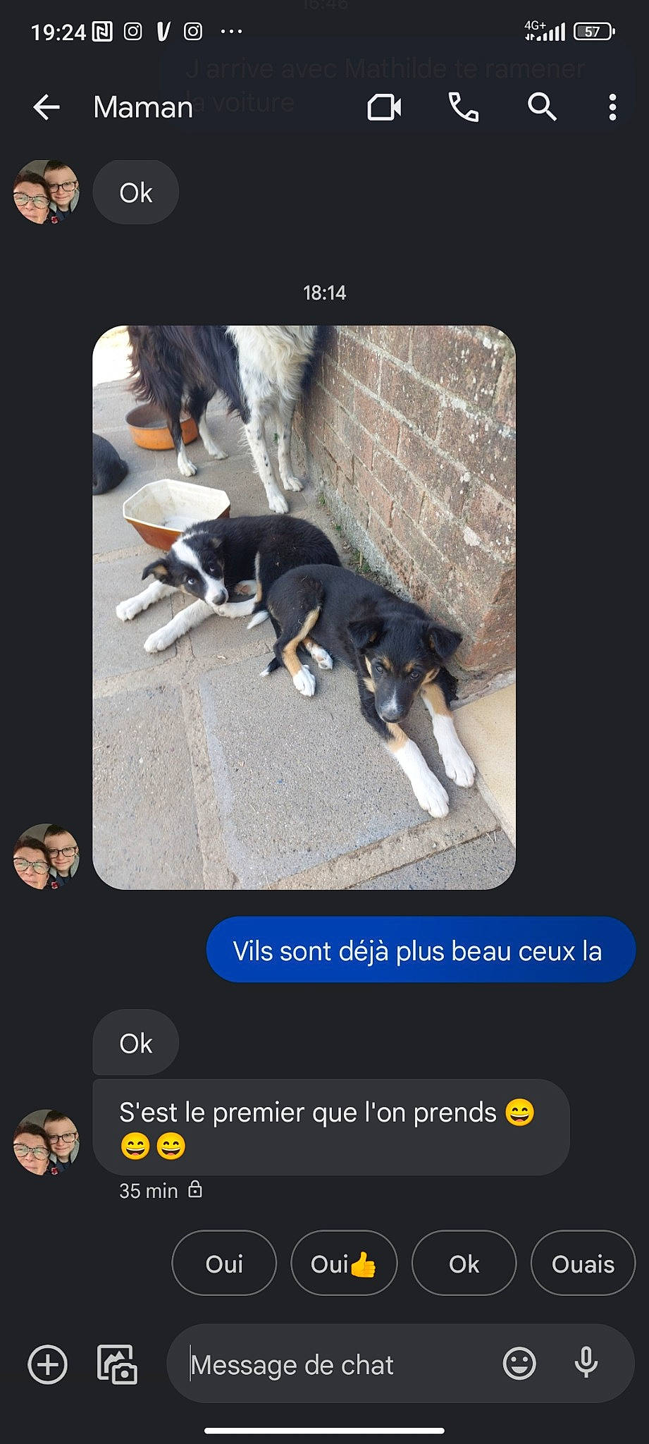 Cooper participe au concours pour gagner de l'argent avec cette photo : carnivore, cellular_network, communication_device, companion_dog, dog, dog_breed, electric_blue, font, gadget, gesture, multimedia, multimedia_software, pet_supply, rectangle, screenshot, working_animal, working_dog