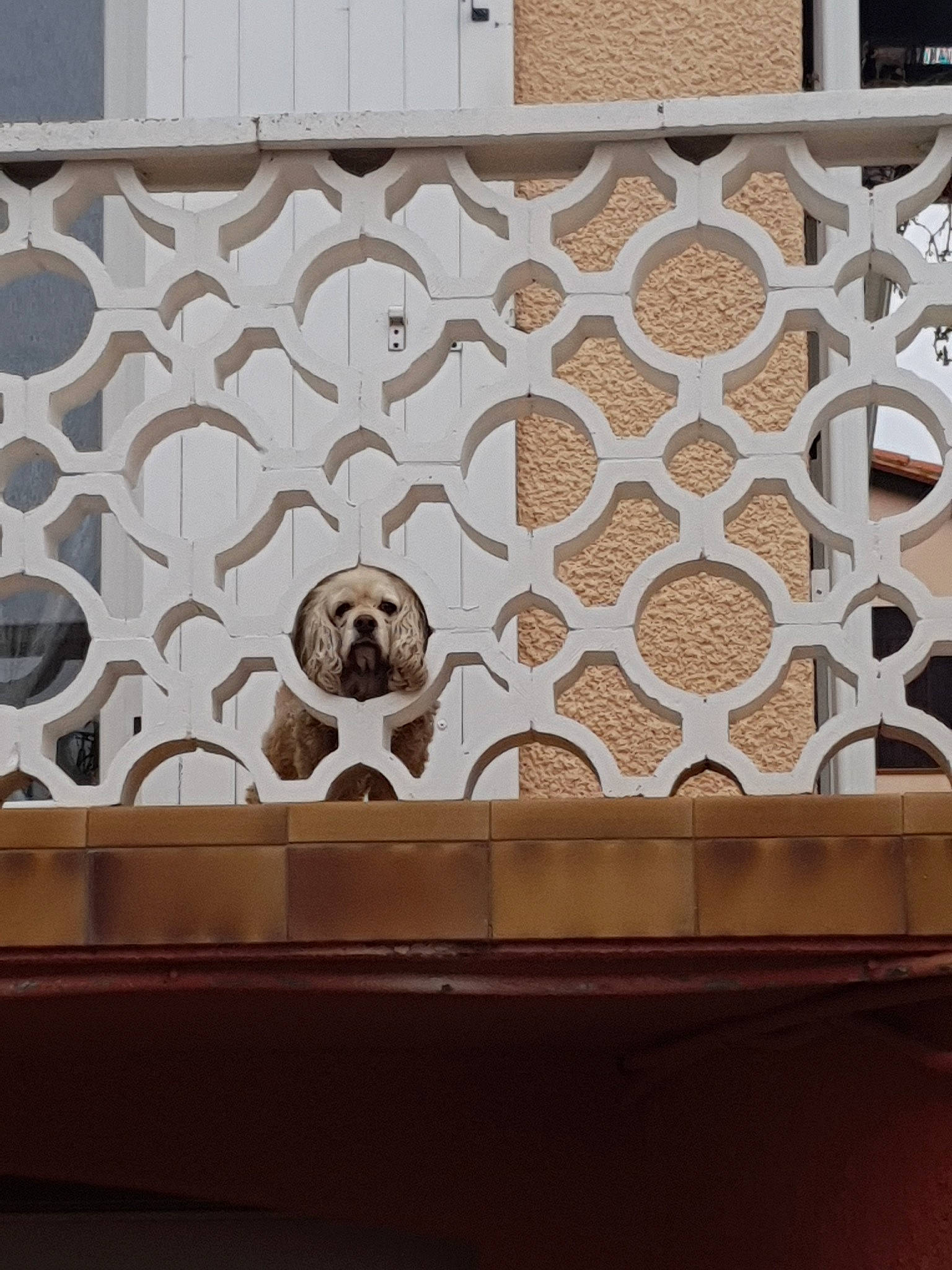 Nikita participe au concours pour gagner de l'argent avec cette photo : architecture, beige, brown, carving, ceiling, circle, design, floor, flooring, furniture, house, interior_design, pattern, plant, room, table, tile, visual_arts, wall, wood