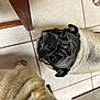 pug, dog, pet, indoor, tile_floor, looking_up, cute, animal, companion, fur, snout, whiskers, ears, black_face, beige_fur, flooring, domestic, mammal, portrait, two_dogs