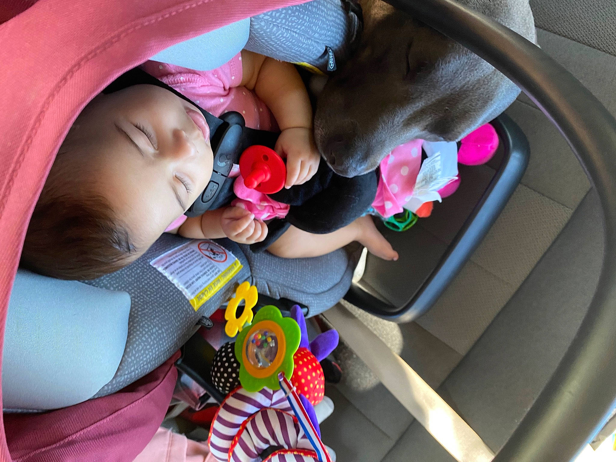 Kaiya joined the competition — help win amazing prizes! auto_part, automotive_design, baby, car, car_seat, car_seat_cover, comfort, family_car, finger, hand, motor_vehicle, person, personal_luxury_car, pink, steering_wheel, textile, toddler, tree, vehicle, vehicle_door